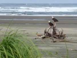 1174925_10151602746382111_1234506544_n