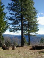 Community-of-the-Great-Commission4